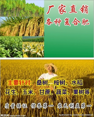 化肥名片設(shè)計(jì)圖__名片卡片_廣告設(shè)計(jì)_設(shè)計(jì)圖庫