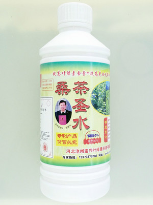 綠圣葉面肥助力桑茶高產優質——河北綠圣生物科技廠家直供